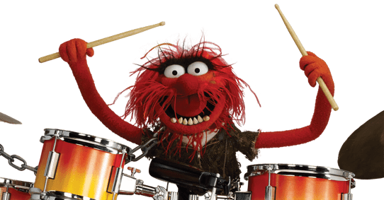 Image result for drummer in electric mayhem