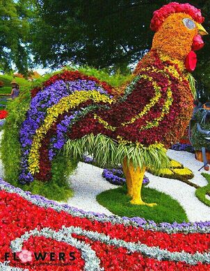 Image result for topiary cock