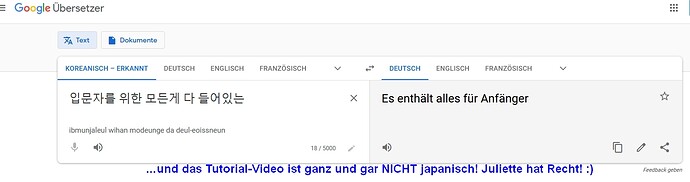 Fuer_Mich_Den_Kanji_Anfaenger_2