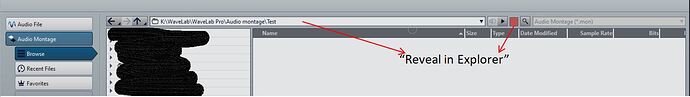 WL File window2.JPG