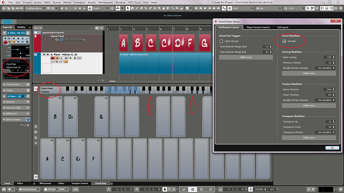 Chord Pad Sessions Not Work 03.png