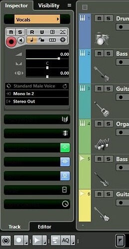 Cubase Inspector Label Problem.JPG