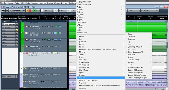 Nuendo 6.5 Plug-in Menu PROJECT WINDOW VIEW 01.jpg