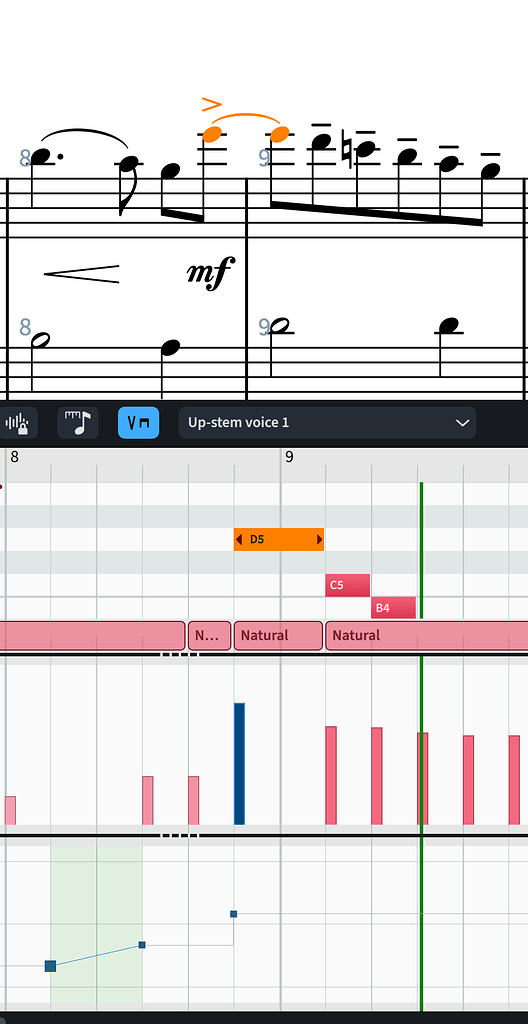 邦楽 charactic note START LINE Wrong time signature / Wrong number of beats in bar - Dorico