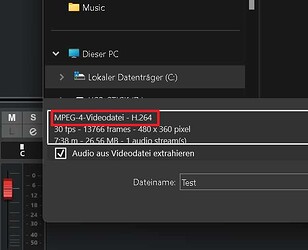 Video Explorer