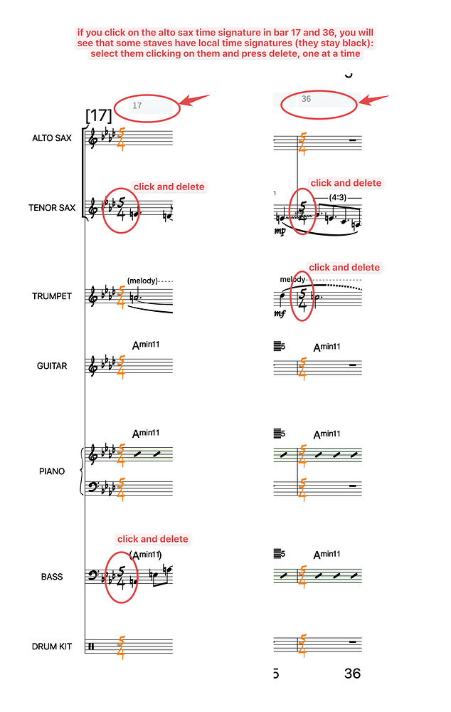 Troubleshooting Barnumber Rehearsal Mark Error Dorico Steinberg Forums