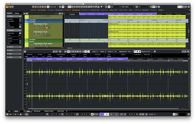Link Project and Lower Zone Editor Cursors missing - Cubase