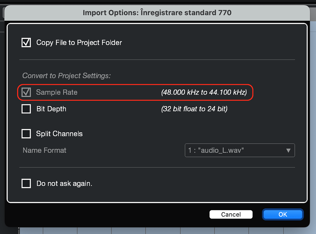 "Adapt project to audio sample rate" option (in Import Options