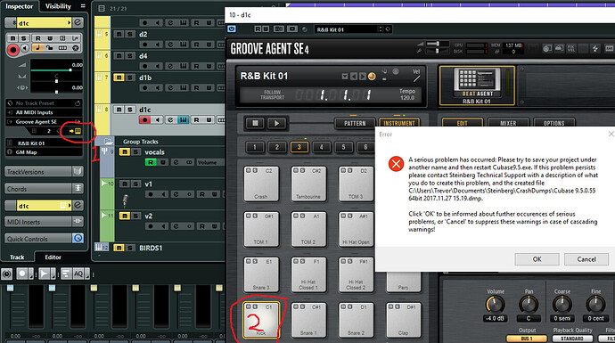 cubase_error.jpg