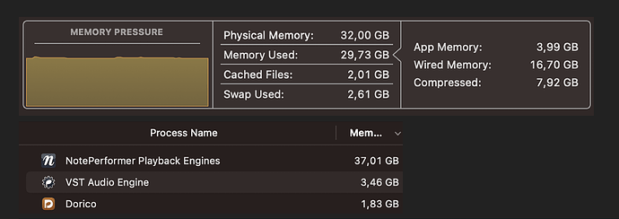 Memory 37GB