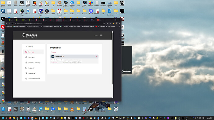 Screenshot 2025-02-07 011936