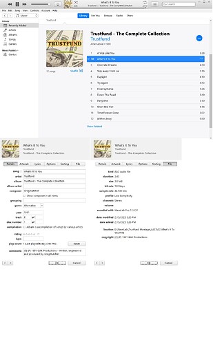 Mp3tag Metadata