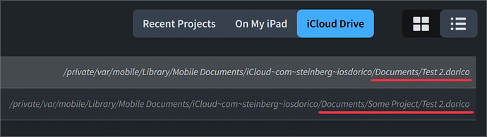 Dorico iPad browser showing the locations of duplicate files