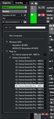 Ensemble Pro outputs