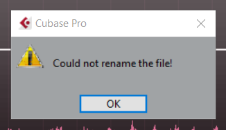 could not rename the file.PNG