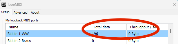 5 Make sure your loopMIDI port is seeing data