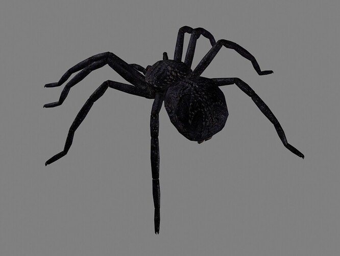 494092--17478--$araneae_tenebrae_003.jpg