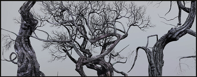 3143343--238586--Trees_03.jpg