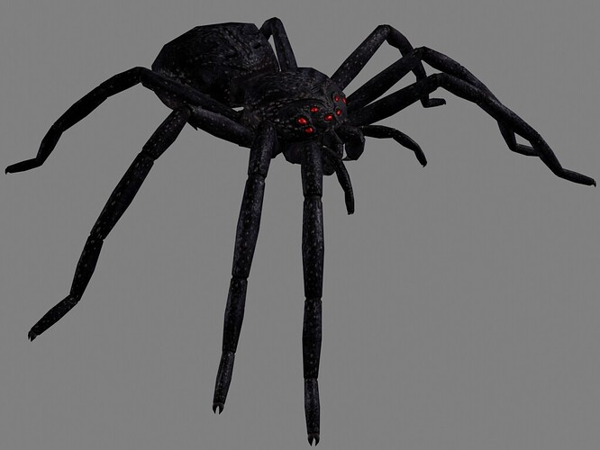 497796--17585--$araneae_tenebrae_002.jpg