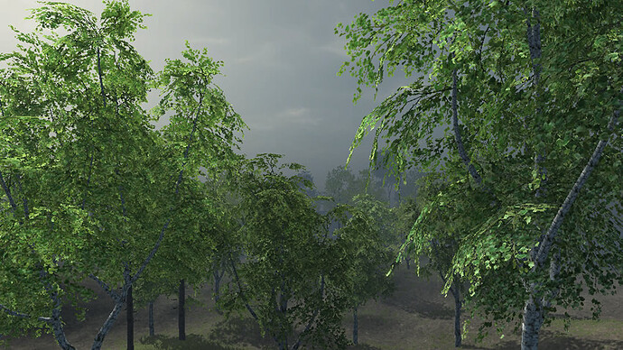 635711--22736--$03_leaves.jpg