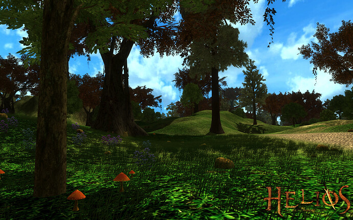 416372--14443--$forest.jpg