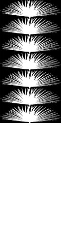 16185--537--$palm_tr1_189.jpg