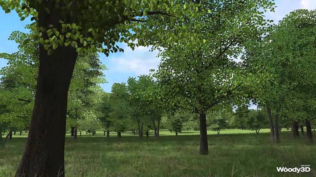 Woody3D Tree System - Unity Engine - Unity Discussions