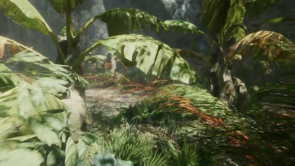 released-tropical-forest-pack-page-24-community-showcases-unity