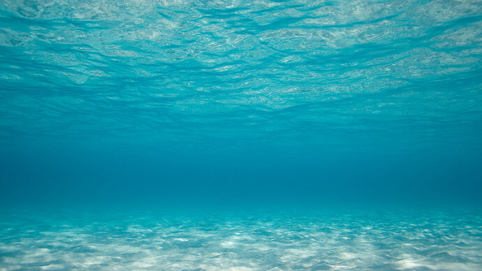 3254971--250741--354614-underwater.jpg