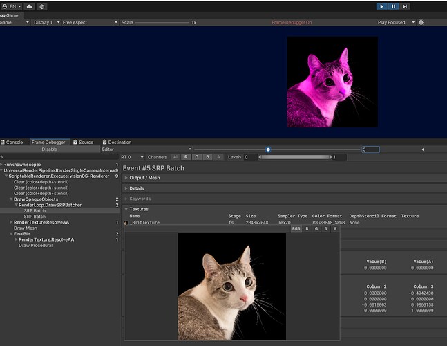 Blitter.BlitTexture_SRP_Batch