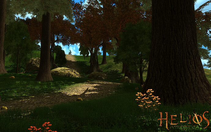 416372--14444--$forest2.jpg