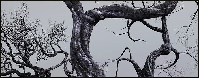 3143343--238584--Trees_01.jpg