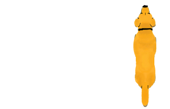 3461642--274571--dog6 Trans PNG.png