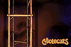 1370656--68958--$lampman_liftman.gif