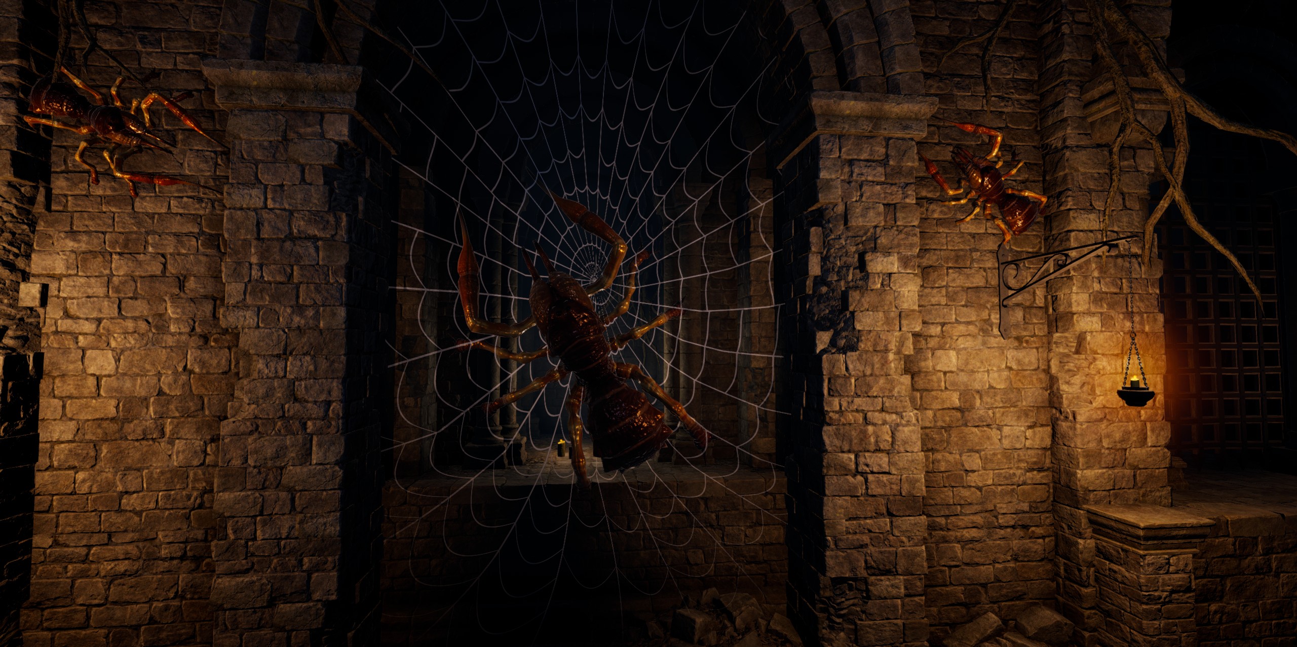 6721462--773227--spider 01.jpg