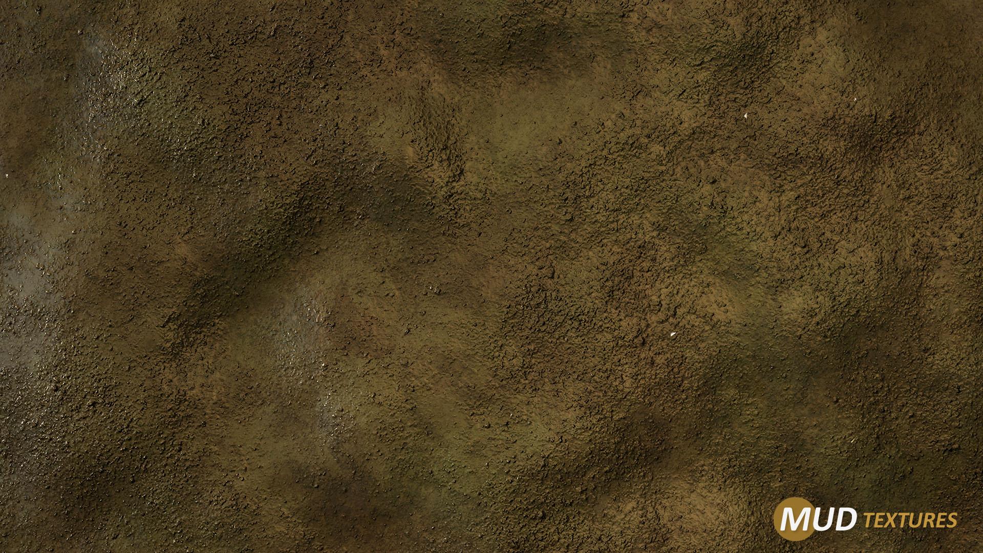 4781705--456215--mud_texture_01.jpg