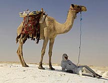 67057--2485--$tt_chwoster9_gross_166.jpg