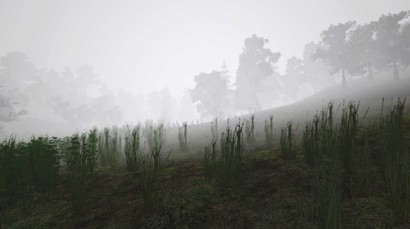 Help to create a better fog (shader or image effect) - Unity Engine ...